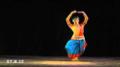 Shib Narayan Banerjee Performed Raga Hamsadhwani