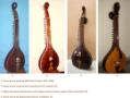 Different Sitar.