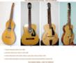 Various types of Sitar.