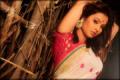 Sara Shrawan.