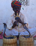 Kalbelia