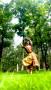 Srushti Mahajan - Bharatnatyam dancer