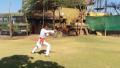 Shivsurya Mardani Khel Bhala