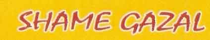 Sham-e-Gazal